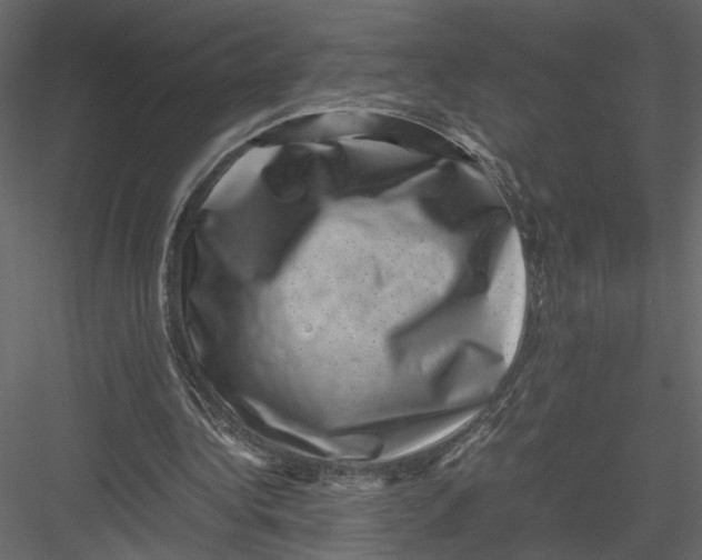 X0000082990340200702230106