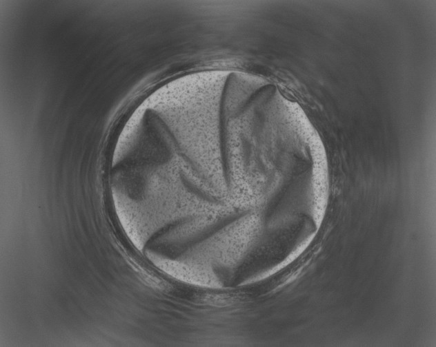 X0000082990341200702230106