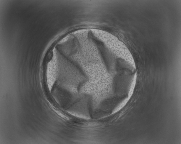 X0000082990342200702230106