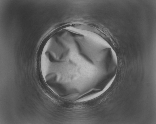 X0000082990344200702230106