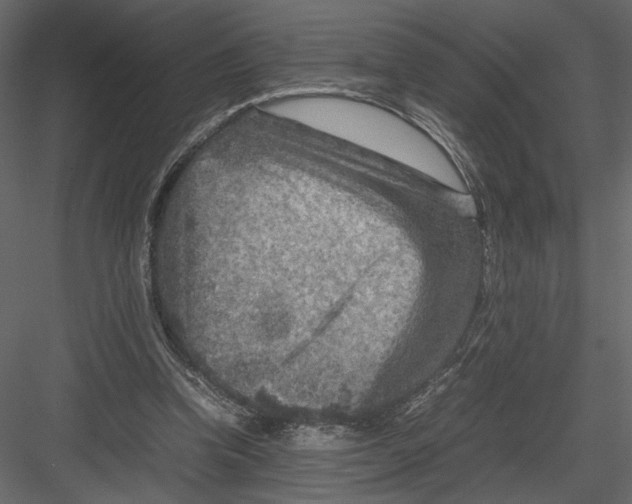 X0000082990346200702230106