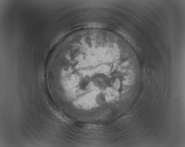 X0000082990347200702230106