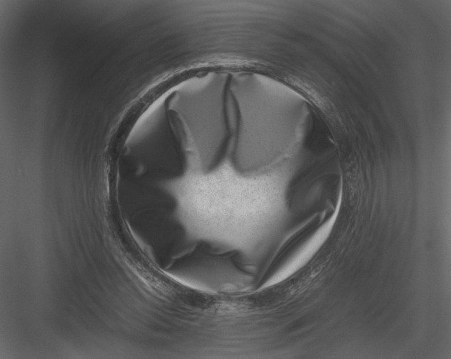 X0000082990350200702230106