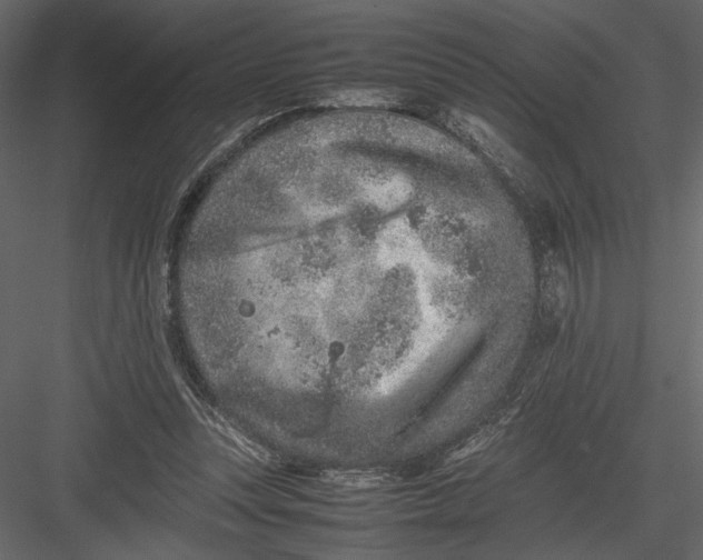 X0000082990351200702230106