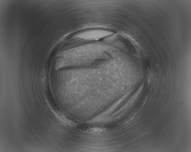 X0000082990352200702230106