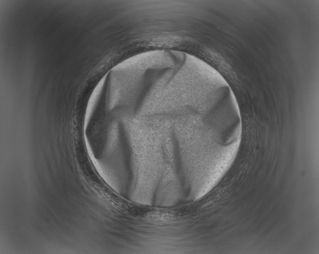 X0000082990354200702230106