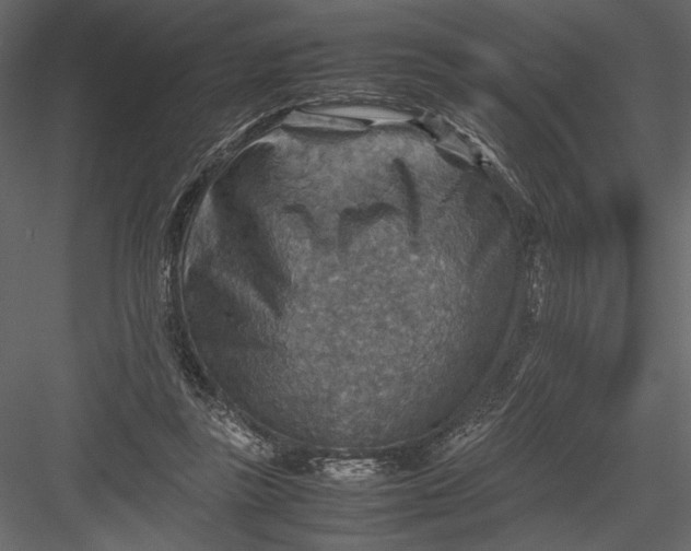 X0000082990355200702230106