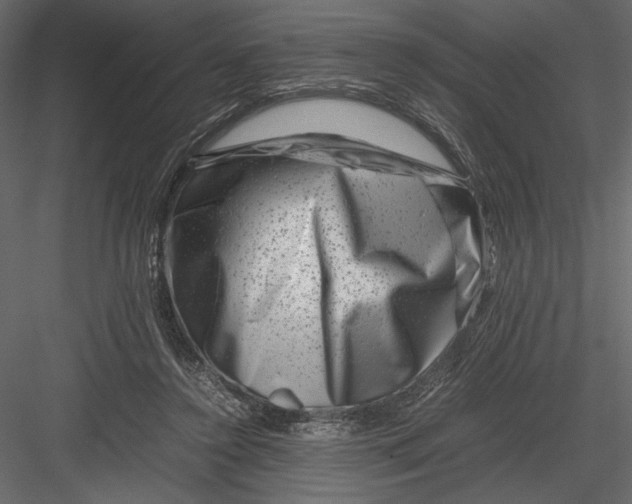 X0000082990356200702230106