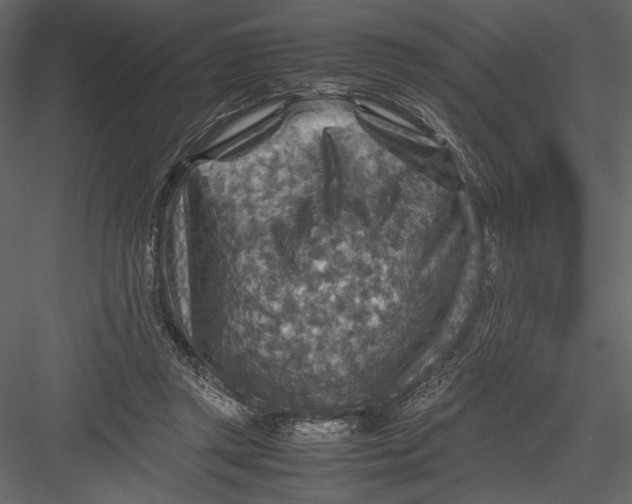 X0000082990357200702230106