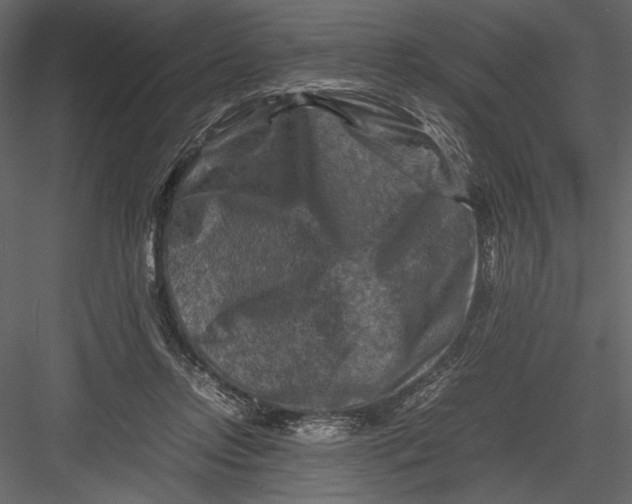 X0000082990358200702230106