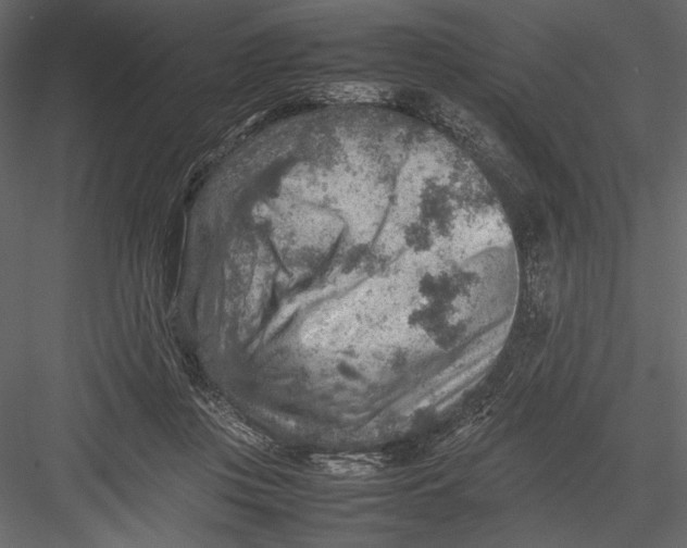 X0000082990359200702230106