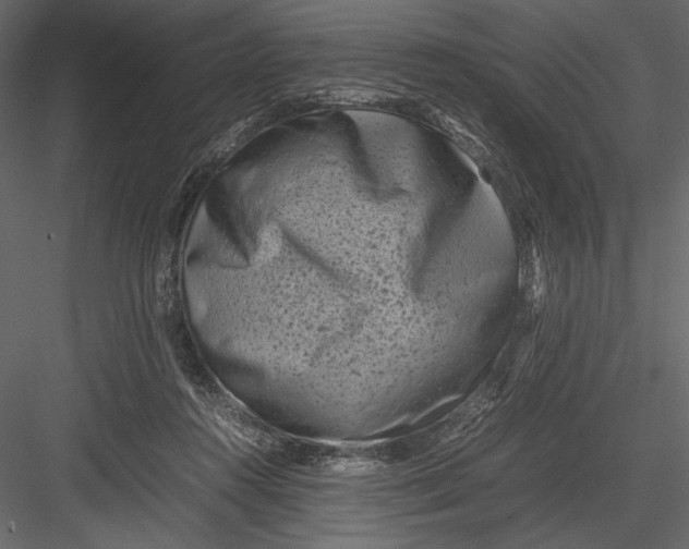 X0000082990360200702230106