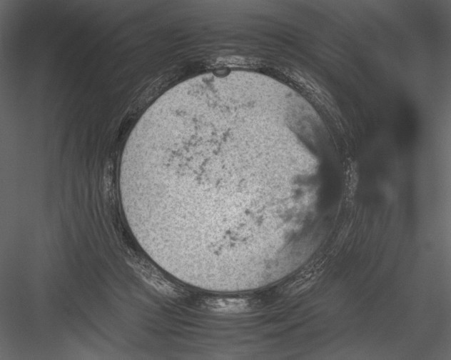 X0000082990361200702230106