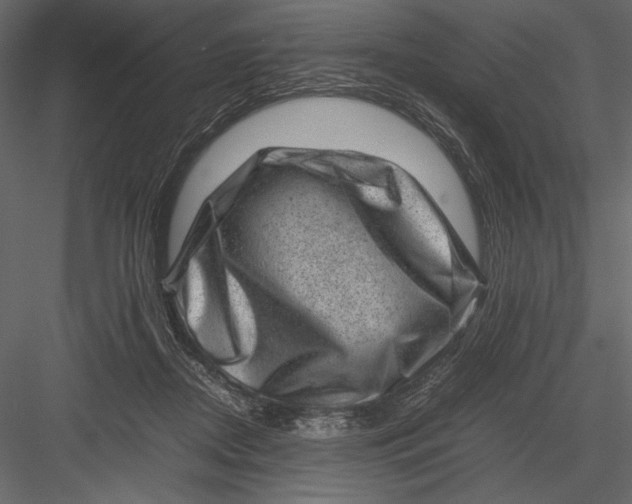 X0000082990362200702230106