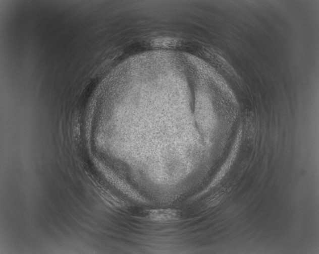 X0000082990363200702230106