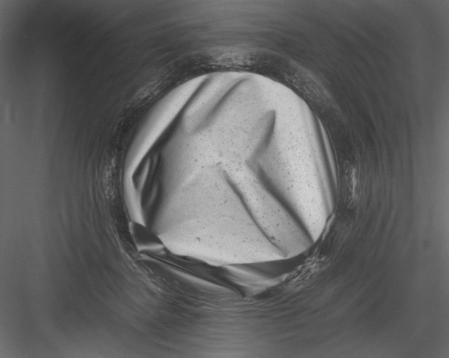 X0000082990364200702230106