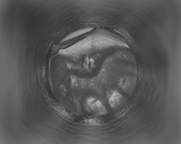 X0000082990365200702230106