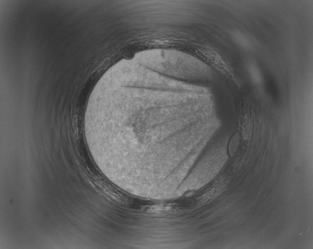 X0000082990366200702230106