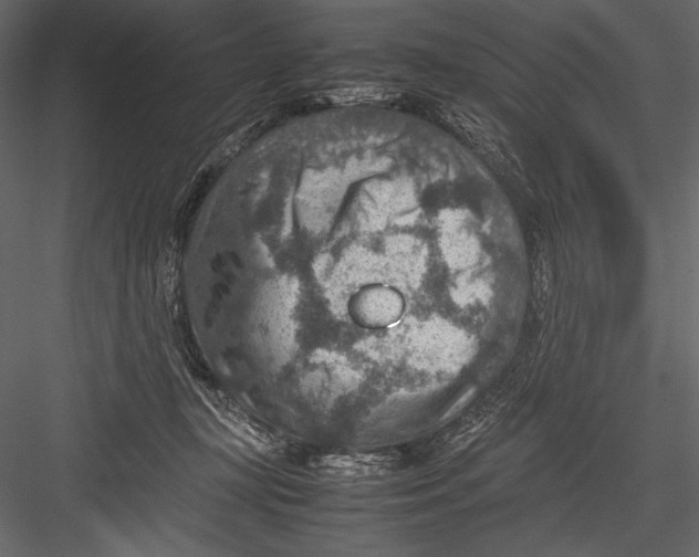 X0000082990367200702230106