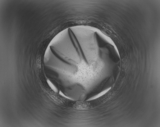 X0000082990368200702230106