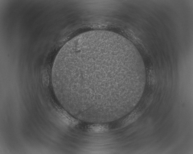 X0000082990370200702230106