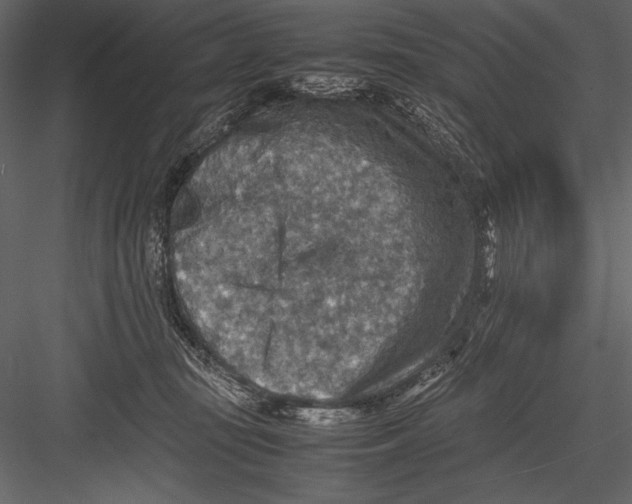 X0000082990371200702230106