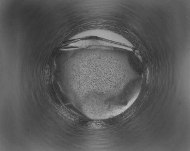 X0000082990372200702230106