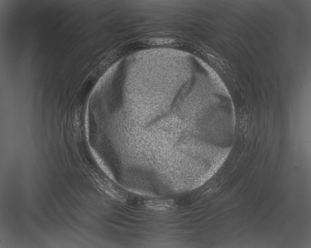 X0000082990373200702230106