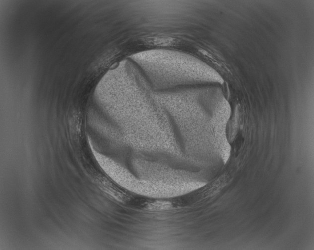 X0000082990374200702230106