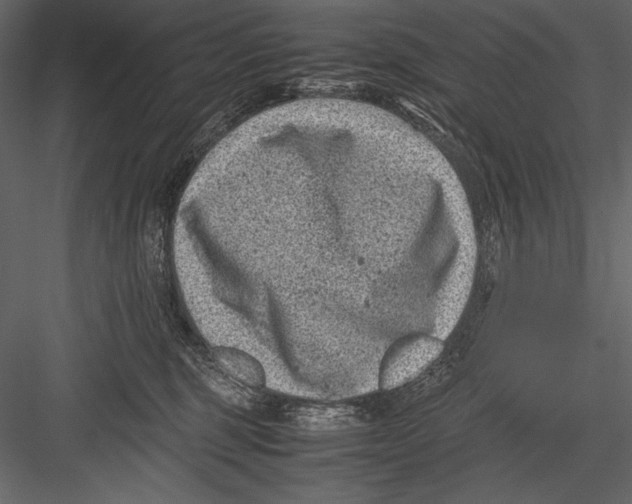 X0000082990375200702230106