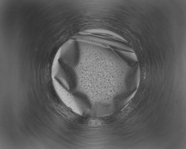 X0000082990376200702230106