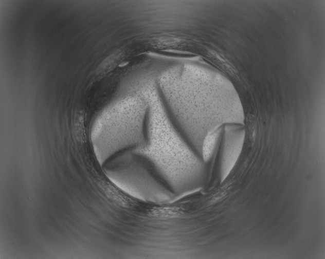 X0000082990378200702230106