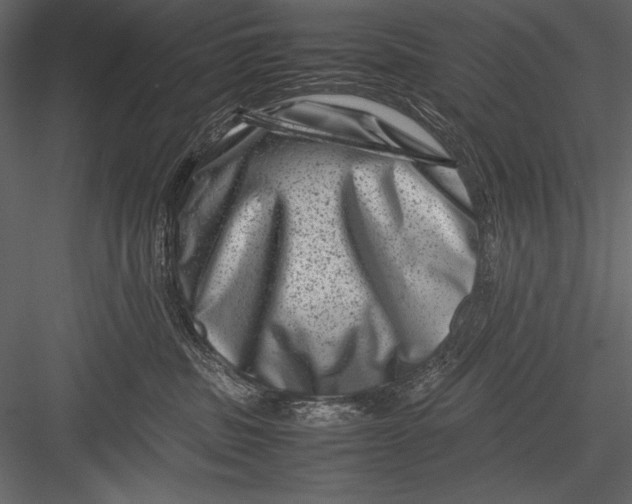 X0000082990379200702230106