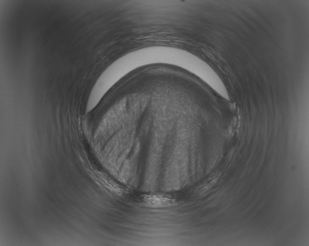 X0000082990380200702230106