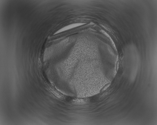 X0000082990381200702230107