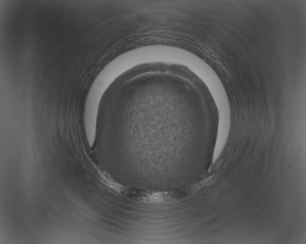 X0000082990382200702230107