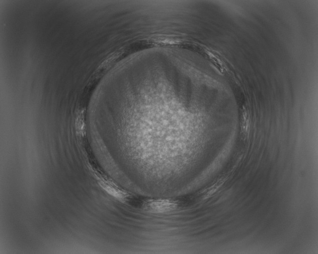 X0000082990383200702230107