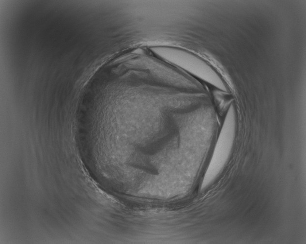 X0000082990385200702230106