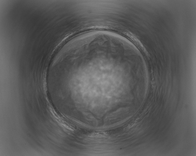 X0000082990386200702230106