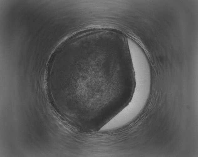 X0000082990387200702230106