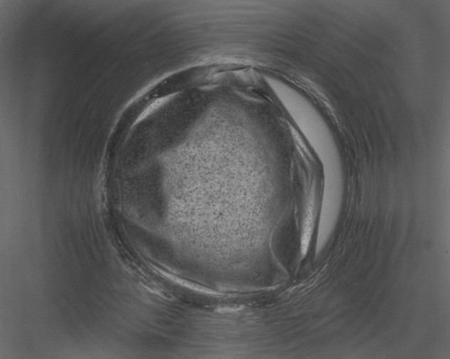 X0000082990388200702230106