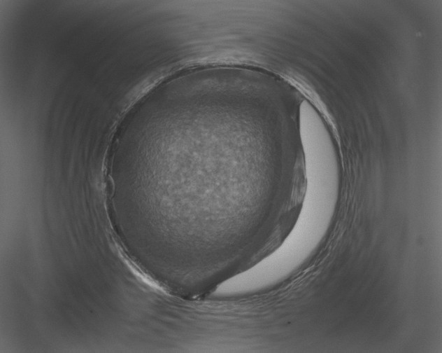 X0000082990389200702230106