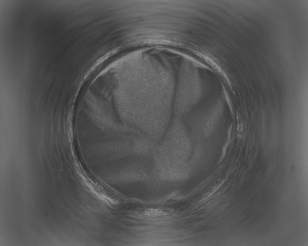 X0000082990390200702230106