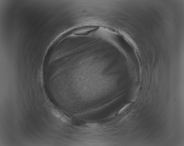 X0000082990391200702230106