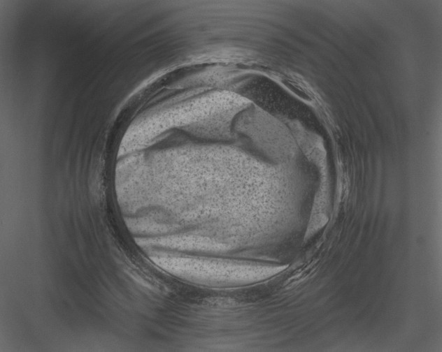 X0000082990392200702230106