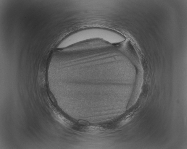 X0000082990393200702230106