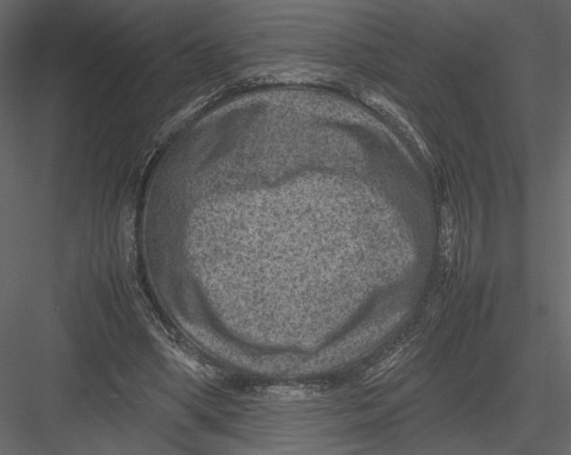 X0000082990394200702230106