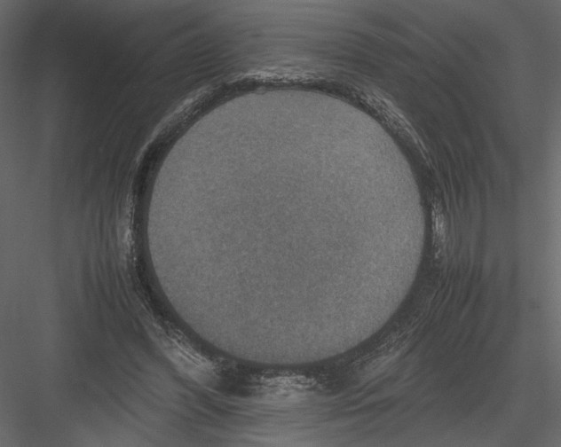 X0000082990396200702230106