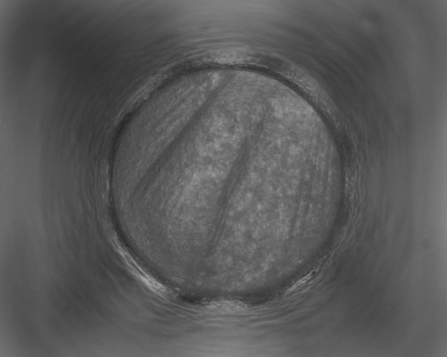 X0000082990397200702230106