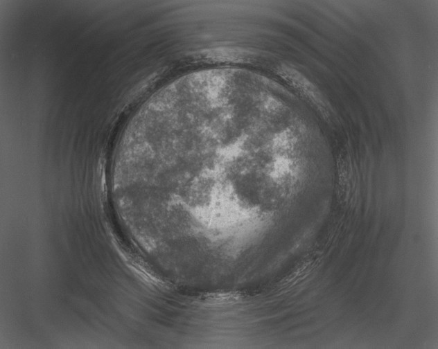 X0000082990398200702230106